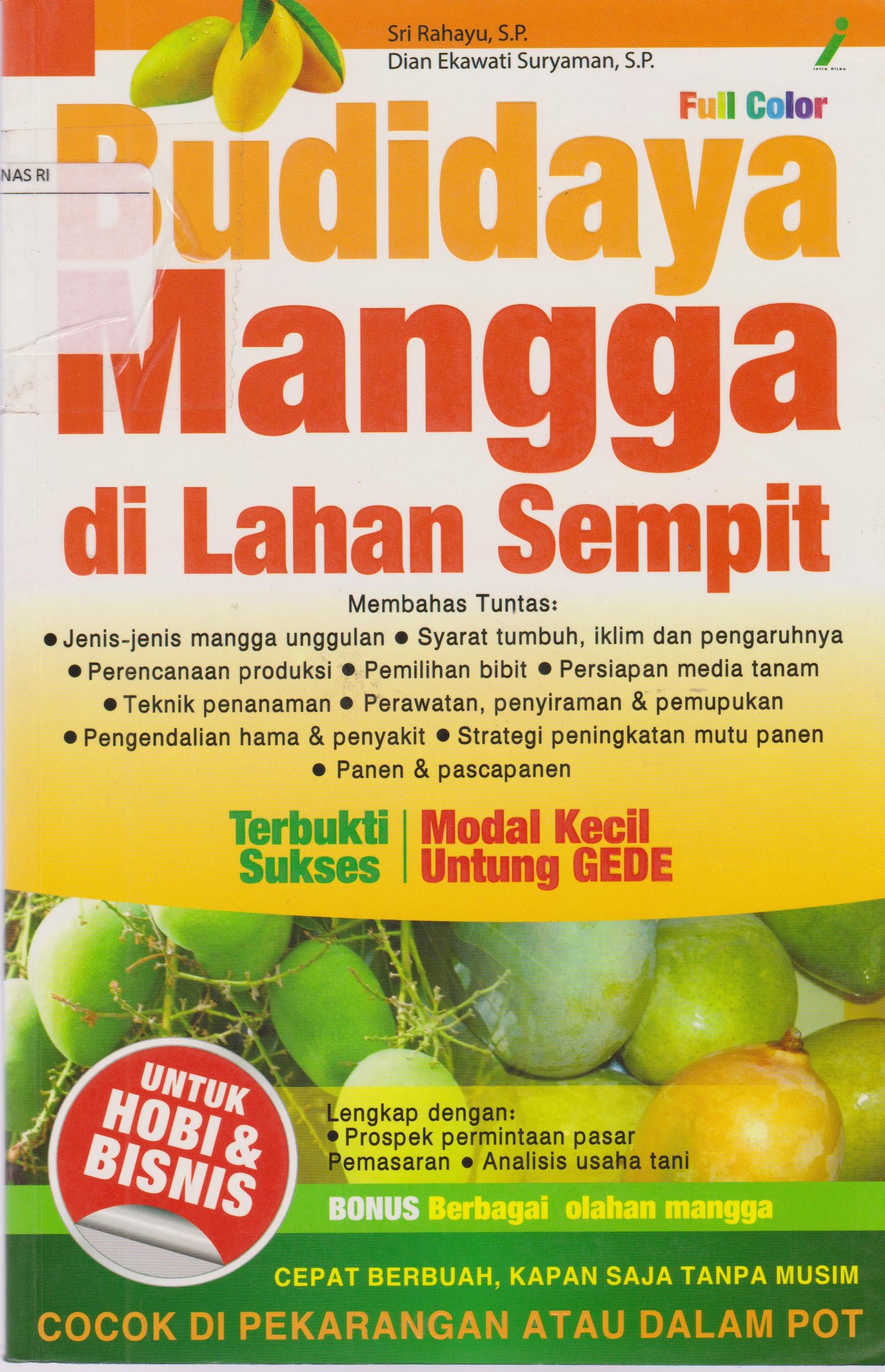 Budidaya mangga di lahan sempit